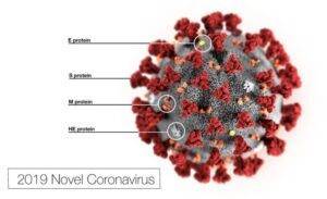  Immagine del nuovo Coronavirus SARS-COV2