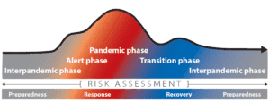 Le fasi di una pandemia