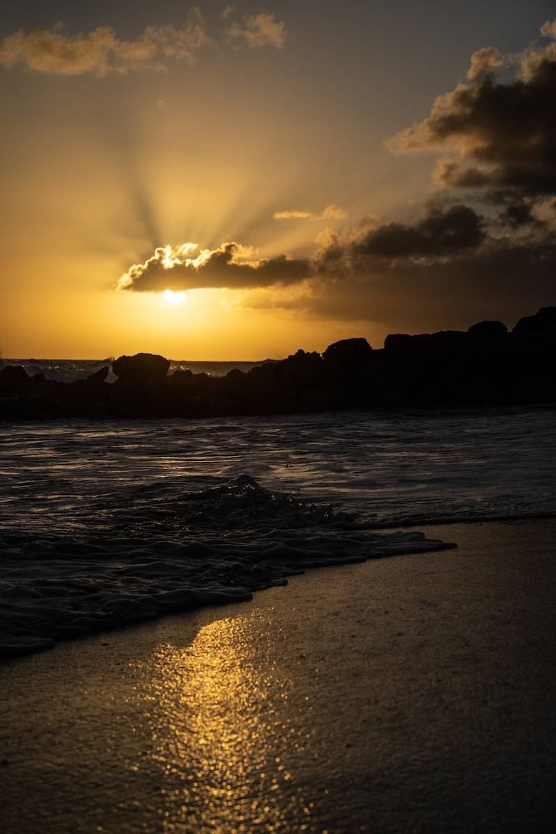 Photo by Paulius Dragunas