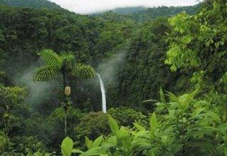 Amazzonia, Brasile : guida per visitare la Foresta amazzonica